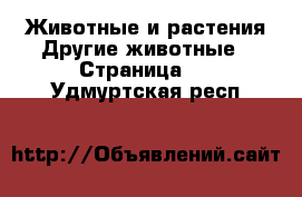 Животные и растения Другие животные - Страница 3 . Удмуртская респ.